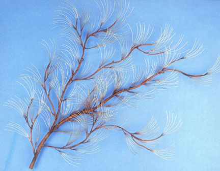 white pine metal wall sculpture