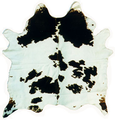 Black and White Hides